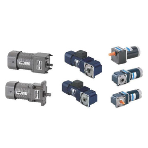 Micro gear reduction motor