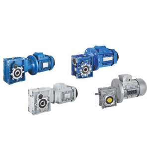 Worm gear reducer